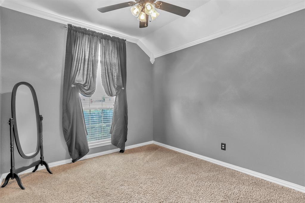 10121 Irish Ridge Street Property Photo 16