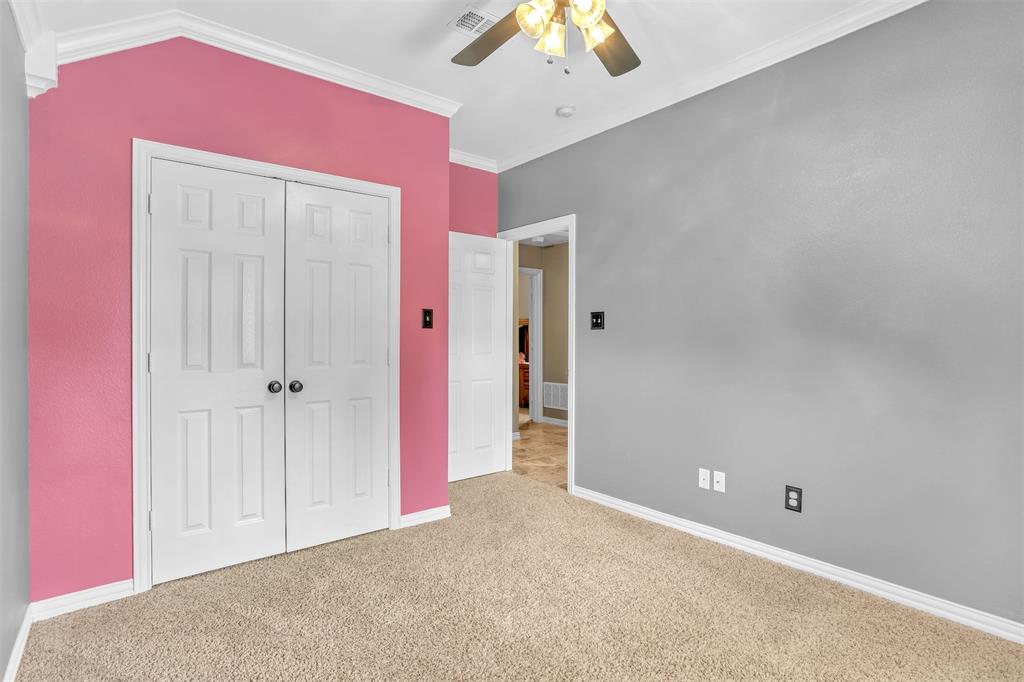 10121 Irish Ridge Street Property Photo 17