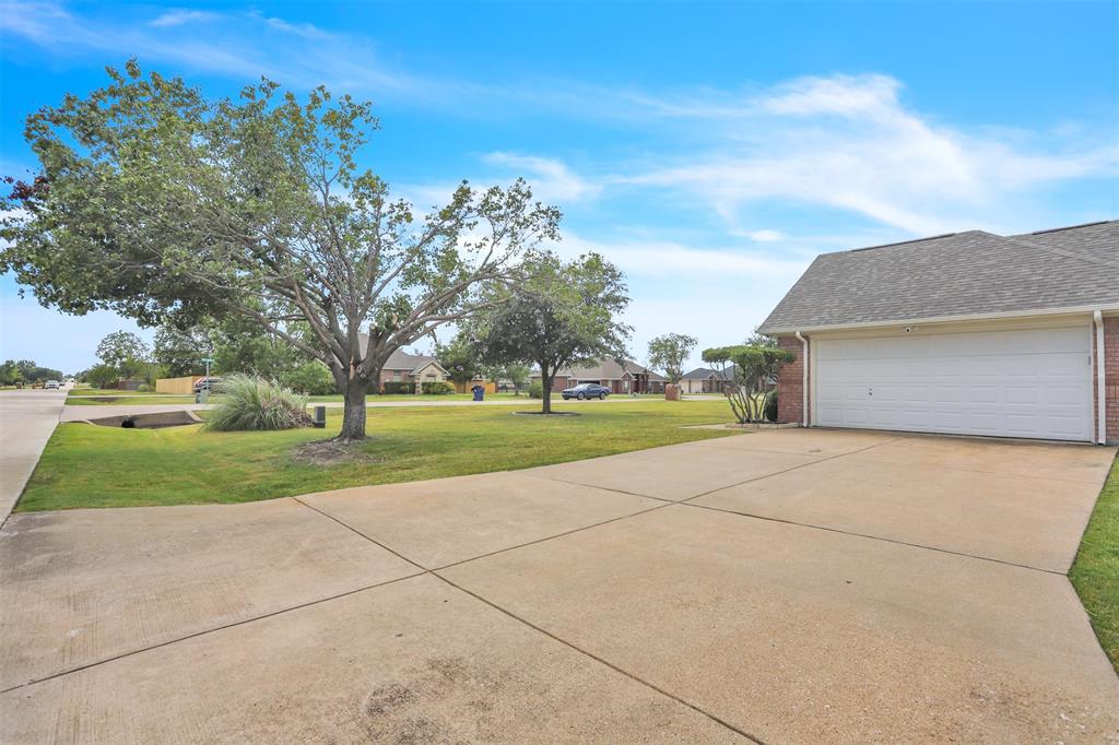 10121 Irish Ridge Street Property Photo 27