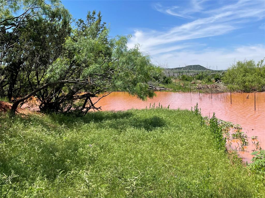 Tbd 141 Acres Cr 343 Property Photo 1