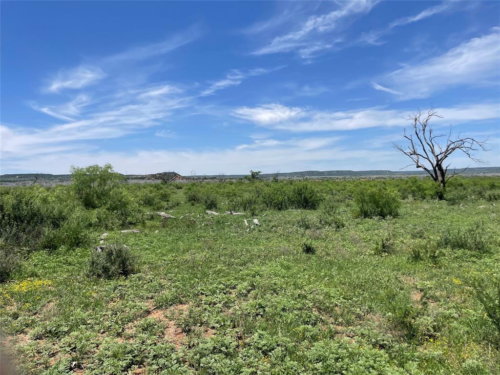 Tbd 100 Acres Cr 343 Property Photo 1