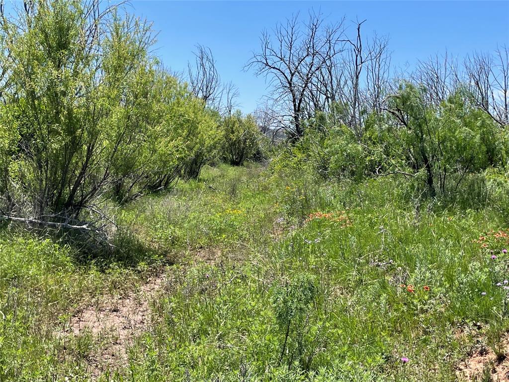 Tbd 100 Acres Cr 343 Property Photo 2