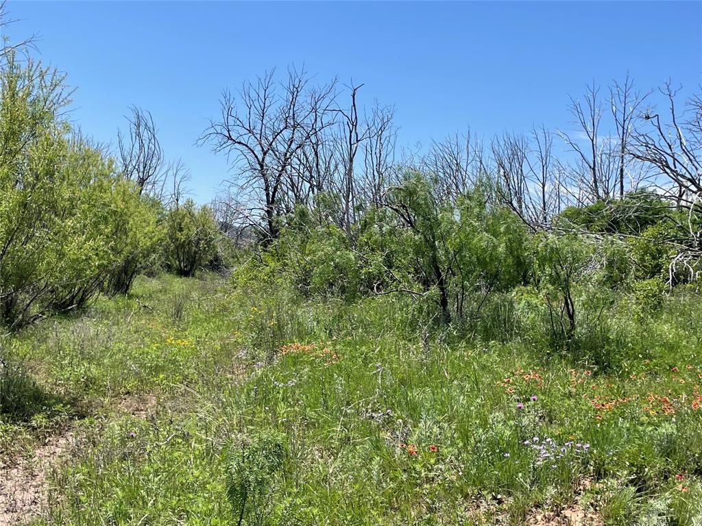 Tbd 100 Acres Cr 343 Property Photo 4