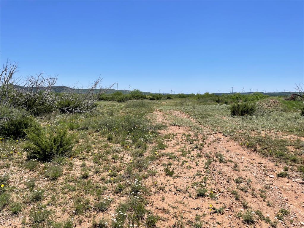 Tbd 100 Acres Cr 343 Property Photo 8