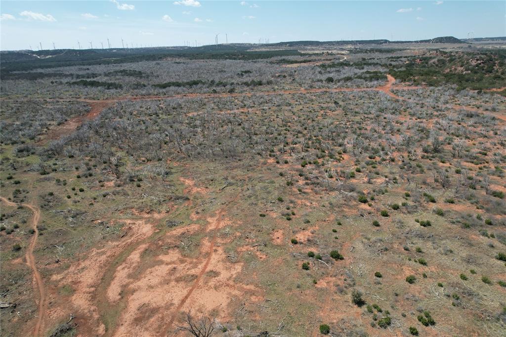 Tbd 100 Acres Cr 343 Property Photo 9