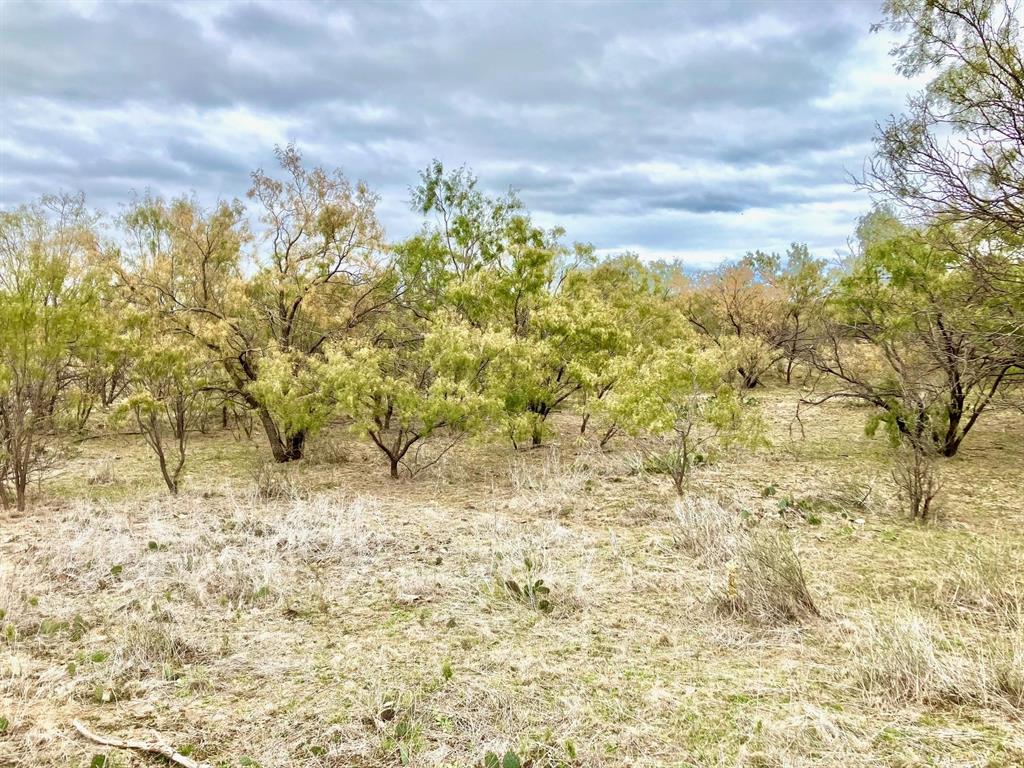 Tbd 100ac Hwy 6 Property Photo