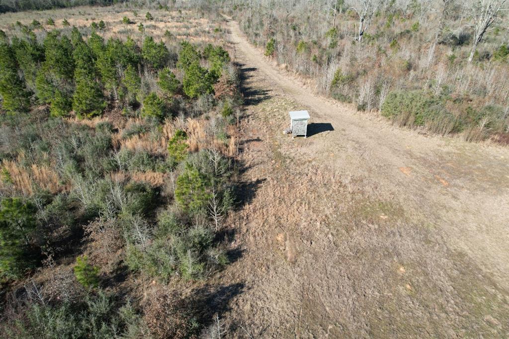 Tbd-b County Road 4021 Property Photo 1