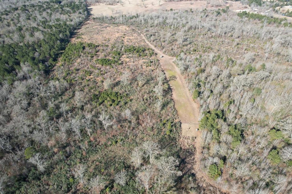 Tbd-b County Road 4021 Property Photo 3