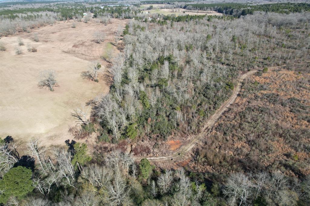 Tbd-b County Road 4021 Property Photo 5