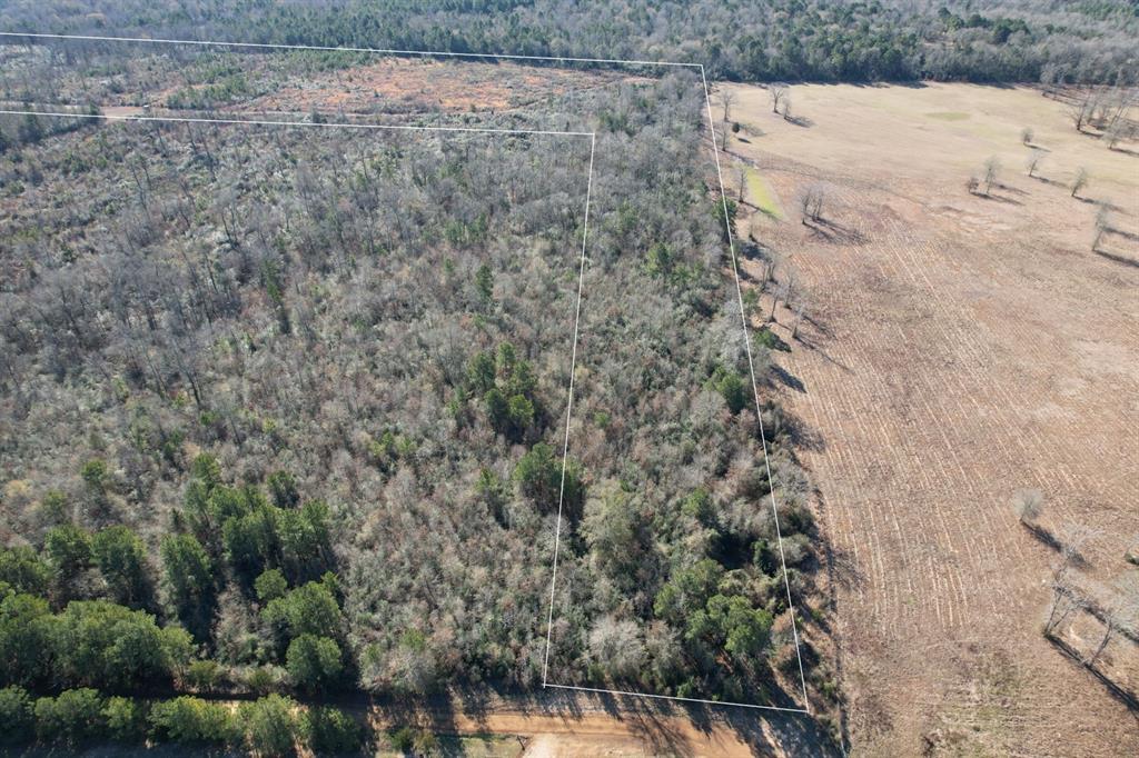 Tbd-b County Road 4021 Property Photo 6