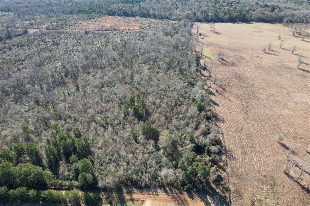 Tbd-b County Road 4021 Property Photo 7