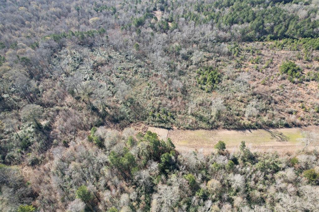 Tbd-b County Road 4021 Property Photo 8