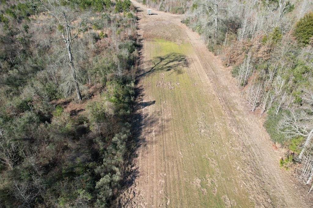 Tbd-b County Road 4021 Property Photo 10
