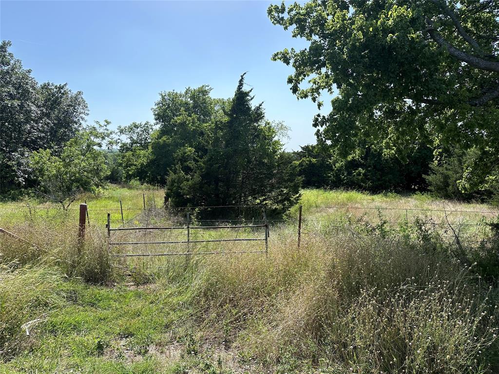 Lot 5 Cedar Road Property Photo 4