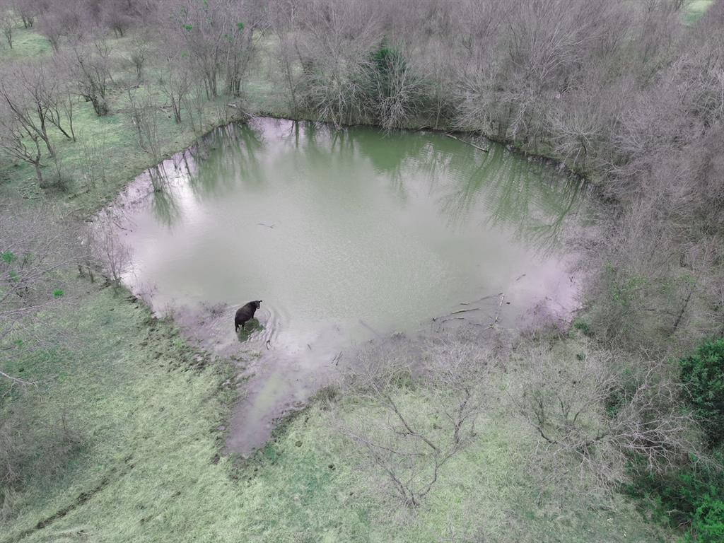 Tbd Fm 933 Property Photo 3
