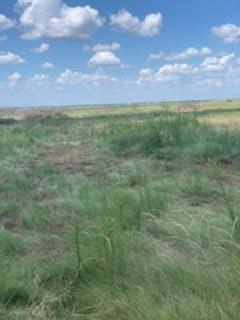 000 Mcdonald Property Photo 4