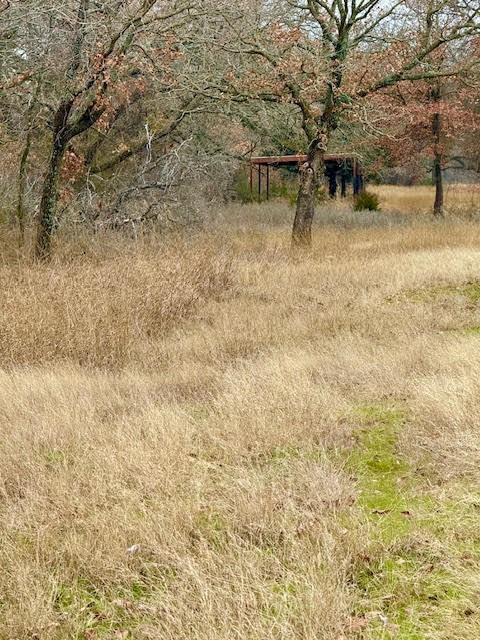 702 County Road 3597 Property Photo 4