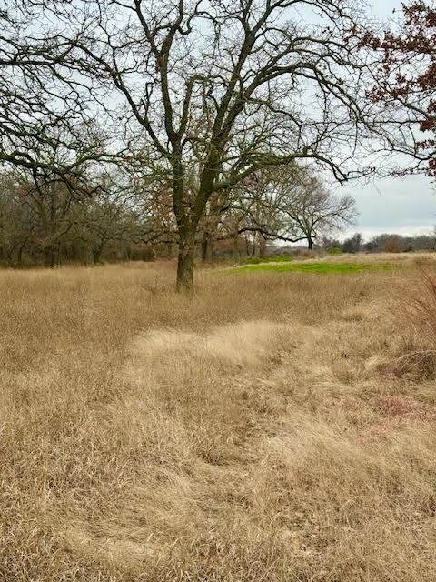 702 County Road 3597 Property Photo 10