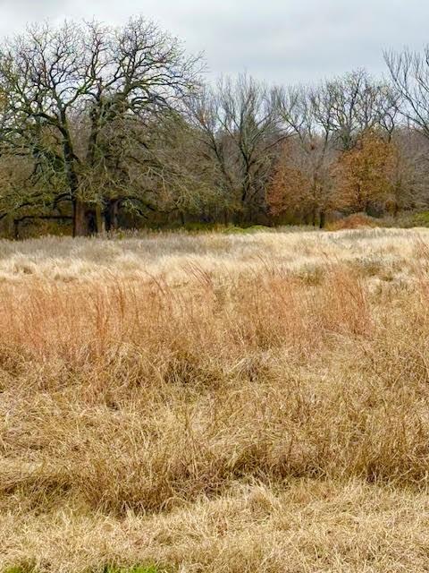 702 County Road 3597 Property Photo 17