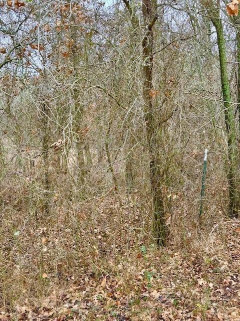702 County Road 3597 Property Photo 18