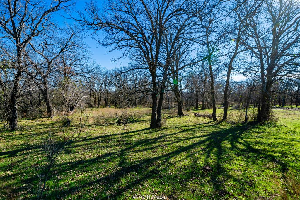 1992 Sand Flat Road Property Photo 8
