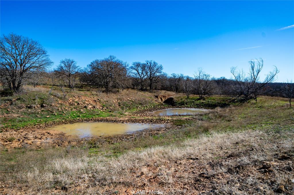 1992 Sand Flat Road Property Photo 11
