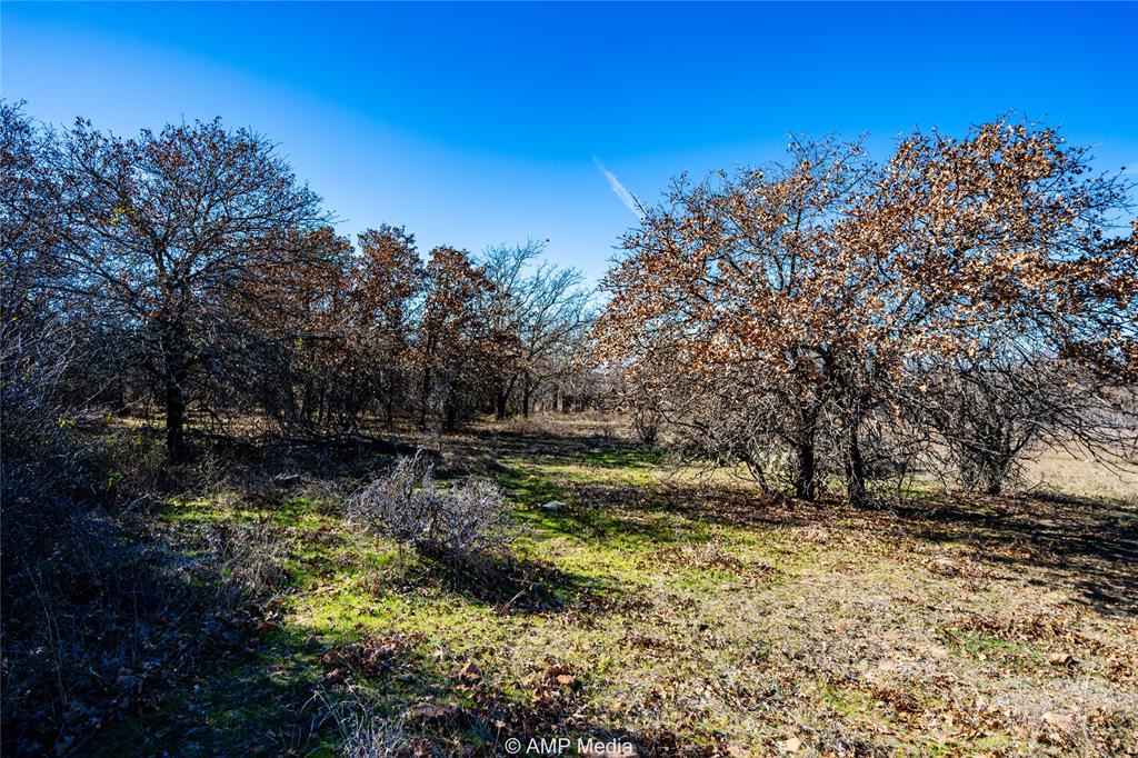 1992 Sand Flat Road Property Photo 12