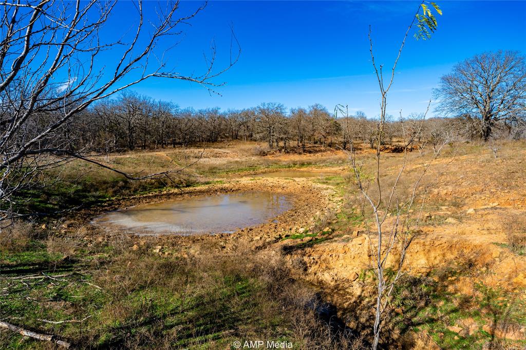 1992 Sand Flat Road Property Photo 13