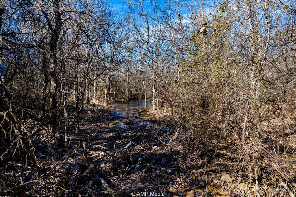 1992 Sand Flat Road Property Photo 14