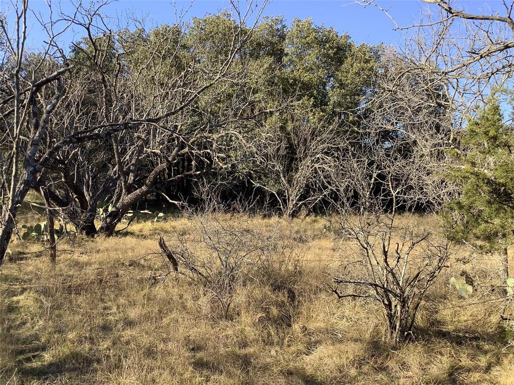 5 Acres Tbd N Highway 6 Property Photo