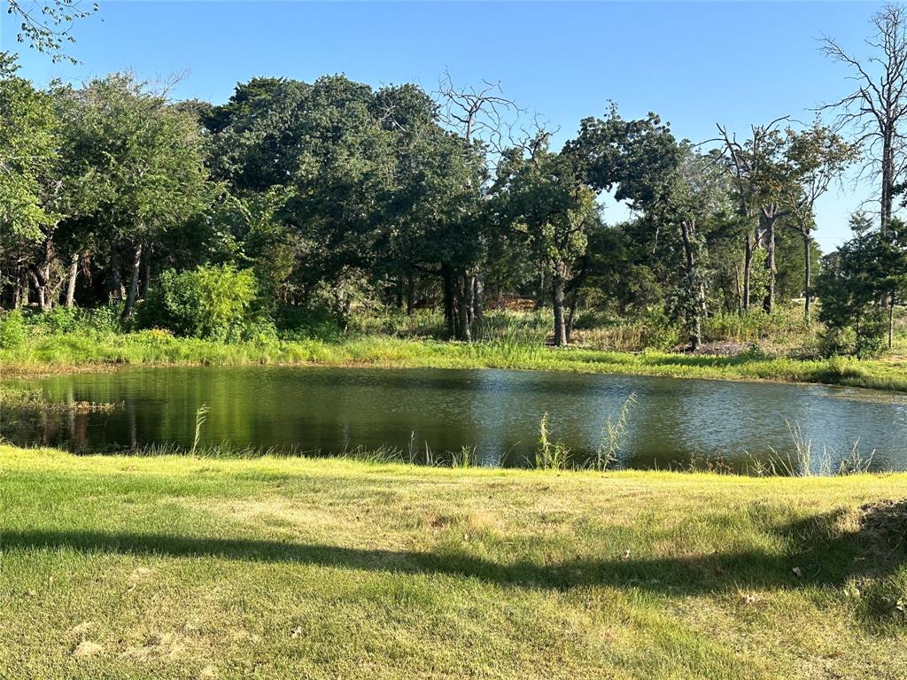 133 Park Avenue Property Photo 15