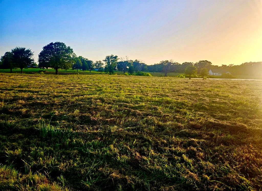 Lot 2 County Road 3541 Property Photo 1