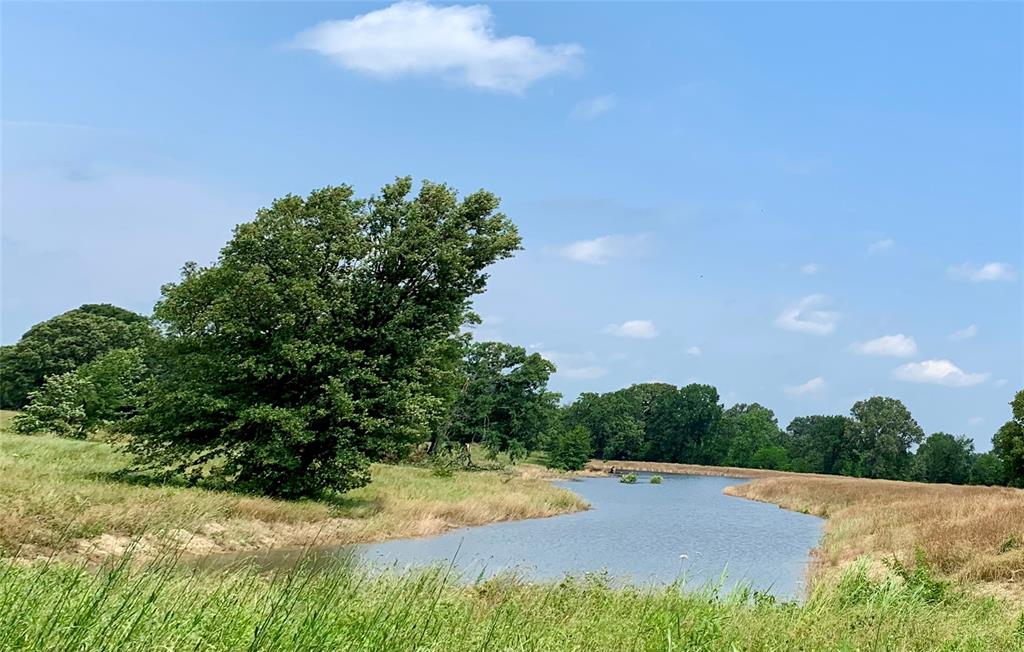 Lot 4 County Road 3541 Property Photo