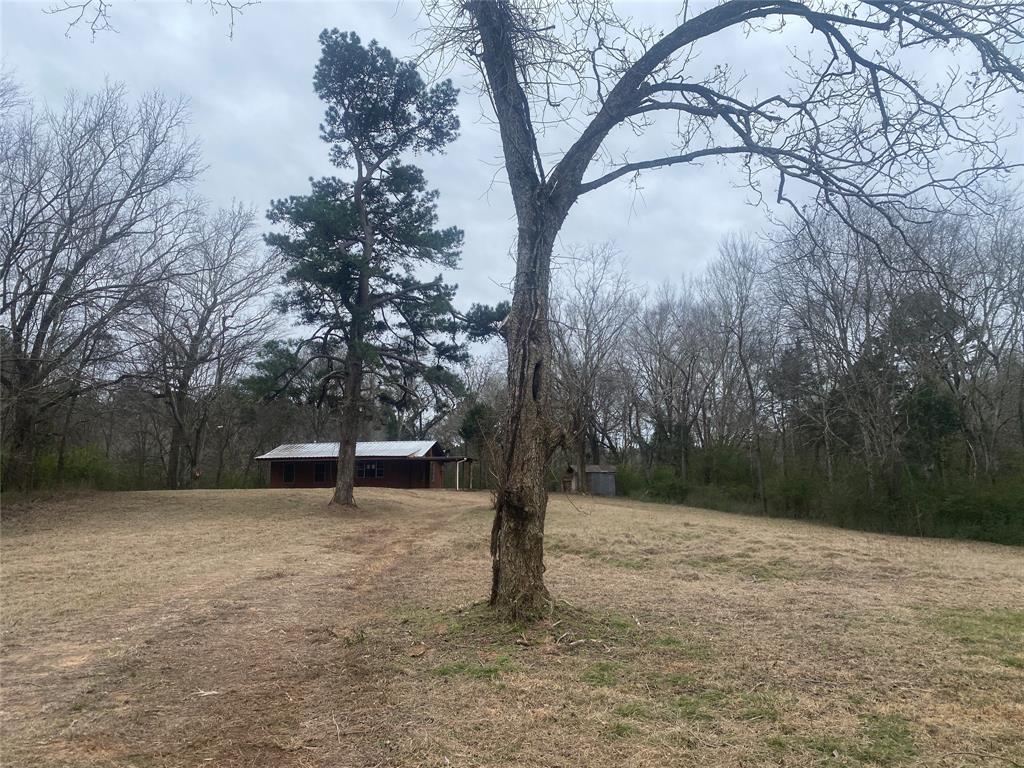 1169 County Road 971 Property Photo