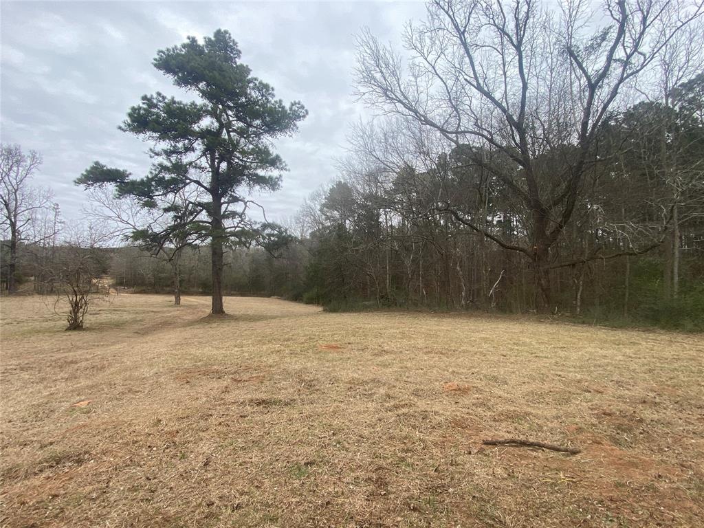 1169 County Road 971 Property Photo 11