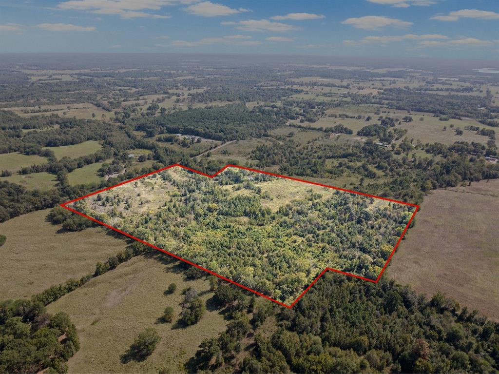 Tract 1 County Road 4325 Property Photo