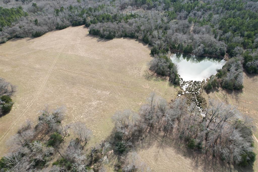 Tbd County Road 435 Property Photo 1