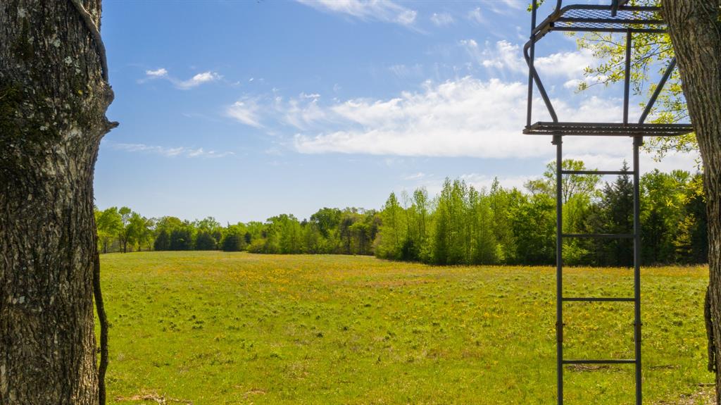 0000 Cr 4315 Property Photo 13