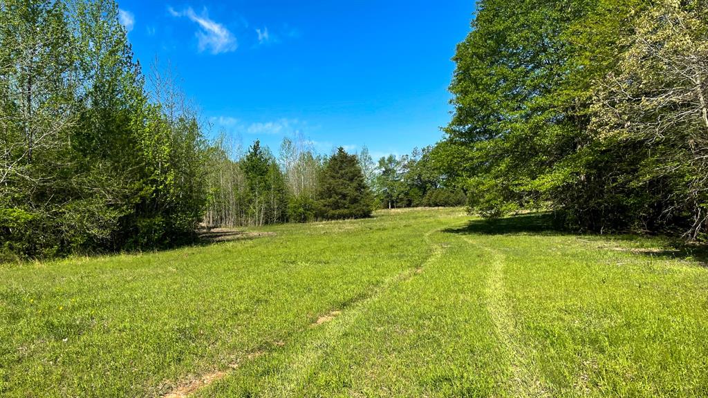 0000 Cr 4315 Property Photo 27
