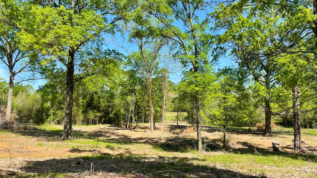 0000 Cr 4315 Property Photo 34