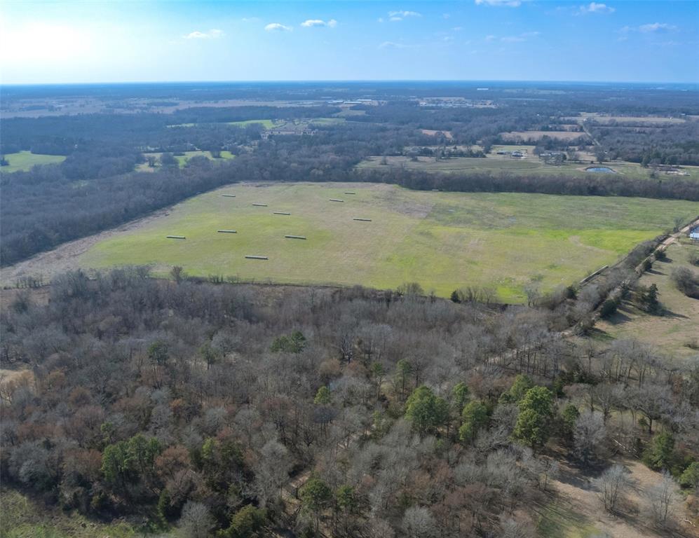 80ac Lot2 County Road 2376 2 Property Photo 3