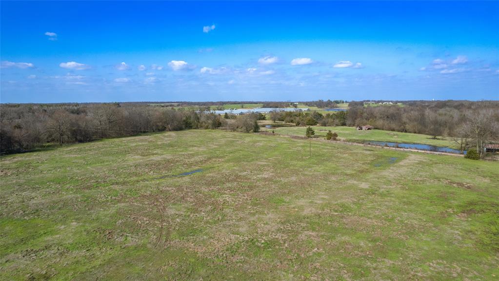 80ac Lot2 County Road 2376 2 Property Photo 5