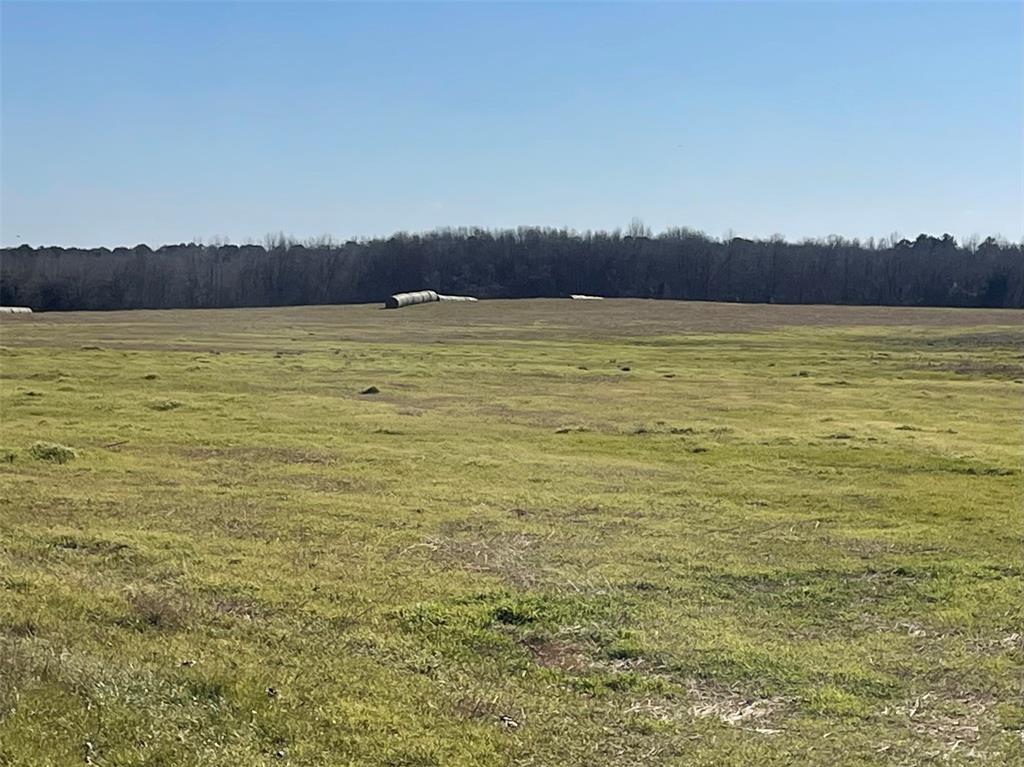 80ac Lot2 County Road 2376 2 Property Photo 8