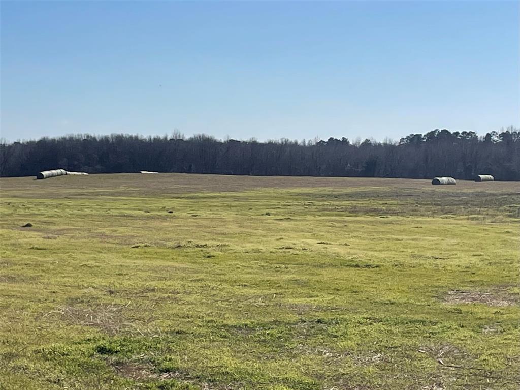 80ac Lot2 County Road 2376 2 Property Photo 9