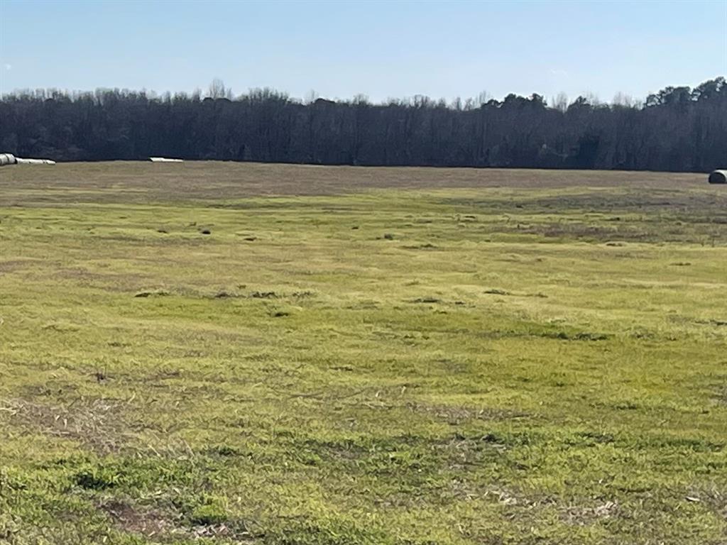 80ac Lot2 County Road 2376 2 Property Photo 10