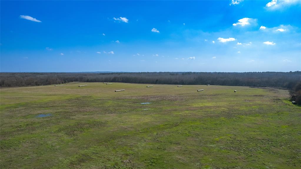 80ac Lot2 County Road 2376 2 Property Photo 11