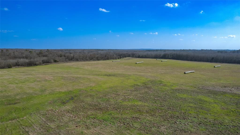 80ac Lot2 County Road 2376 2 Property Photo 12