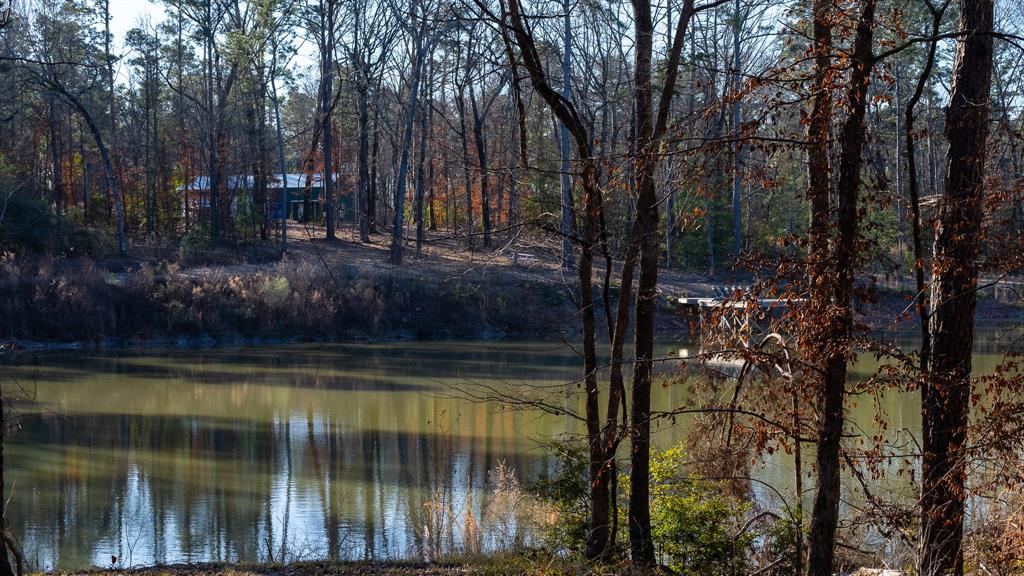 Tbd Owl Road Property Photo