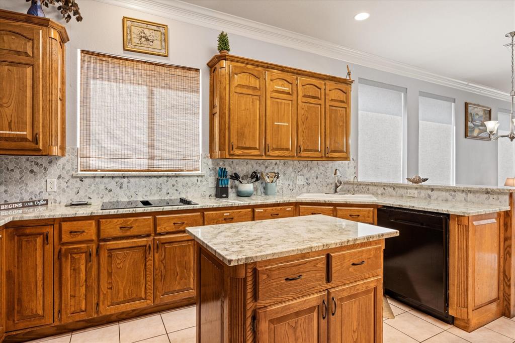 3917 Buena Vista Circle Property Photo 22