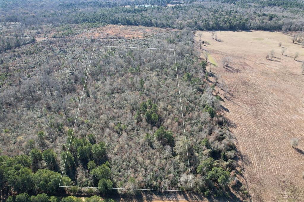 Tbd-c County Road 4021 Property Photo 1